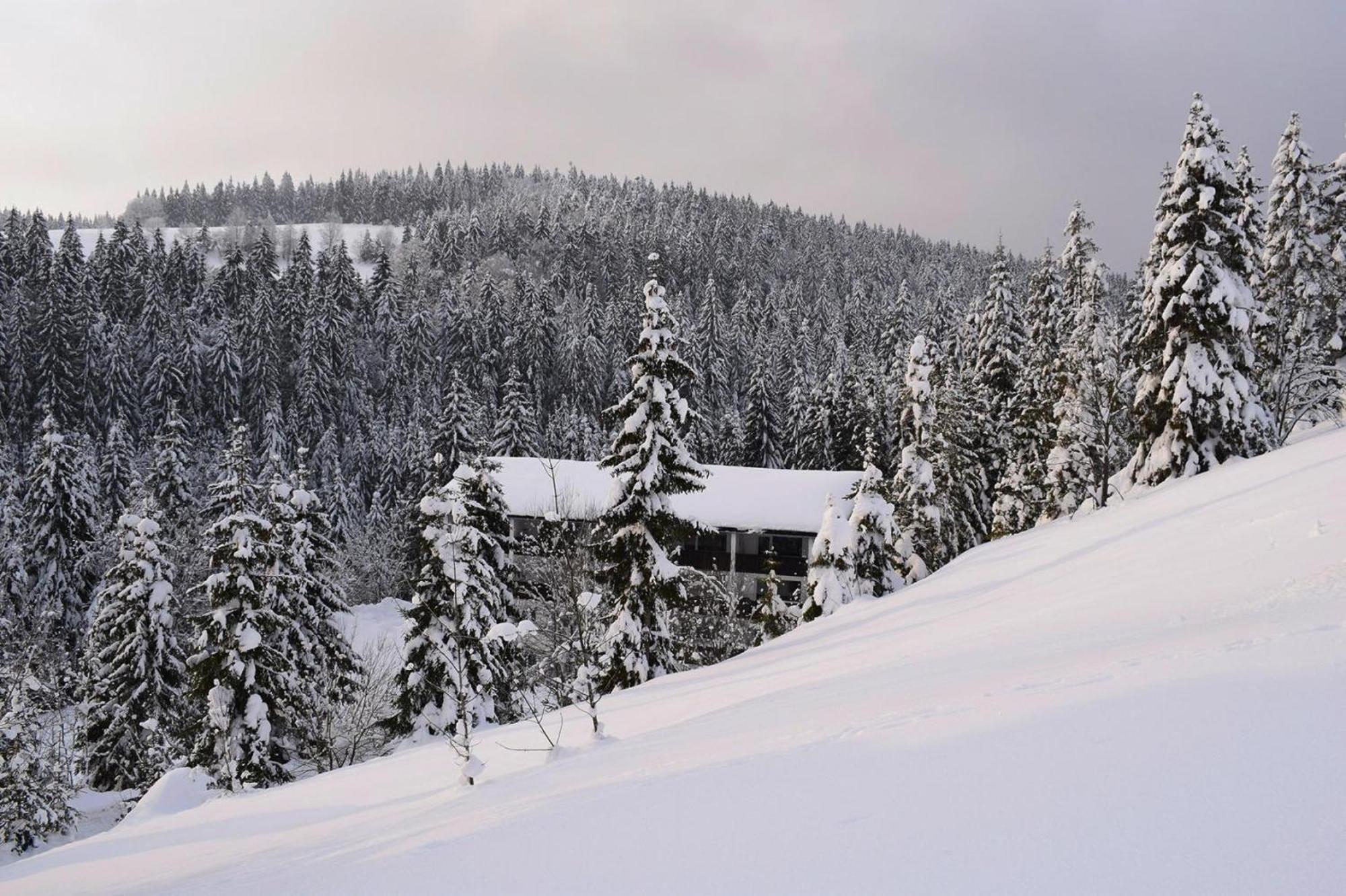 Apartment In Haidmuehle In A Beautiful Area Esterno foto